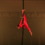 Ruth Salama - Le cirque perdu